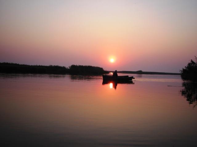 delta rosu 2008 - rosu-2008-266.jpg